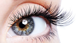 Eyelash Extension - London, Ontario